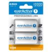 Slika EverActive D Professional Line 1/2 1.2V 10000mAh Ni-MH punjiva baterija