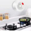 Slika WFS-GS400A Wi-Fi smart senzor gasa sa sirenom