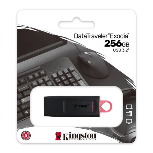 Slika Kingston DTX/256GB 256GB USB Flash Drive, USB 3.2 Gen.1, DataTraveler Exodia