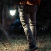 Slika NEBO GALILEO AIR 500 NEB-LTN-1008-G LED sklopiva baterijska lampa