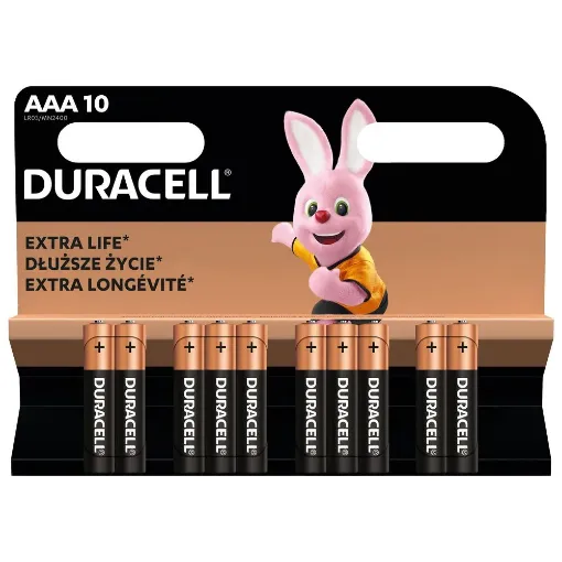 Slika Duracell BASIC LR03 1/10 1.5V alkalna baterija